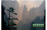 張家界國(guó)家森林公園、寶峰湖/黃龍洞、鳳凰古城、三峽八日游